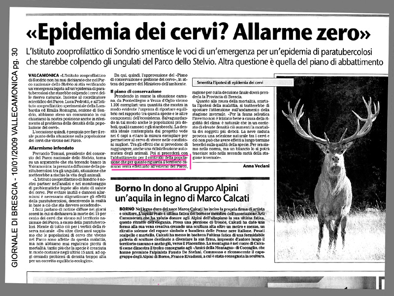 Ci son troppi cervi.........